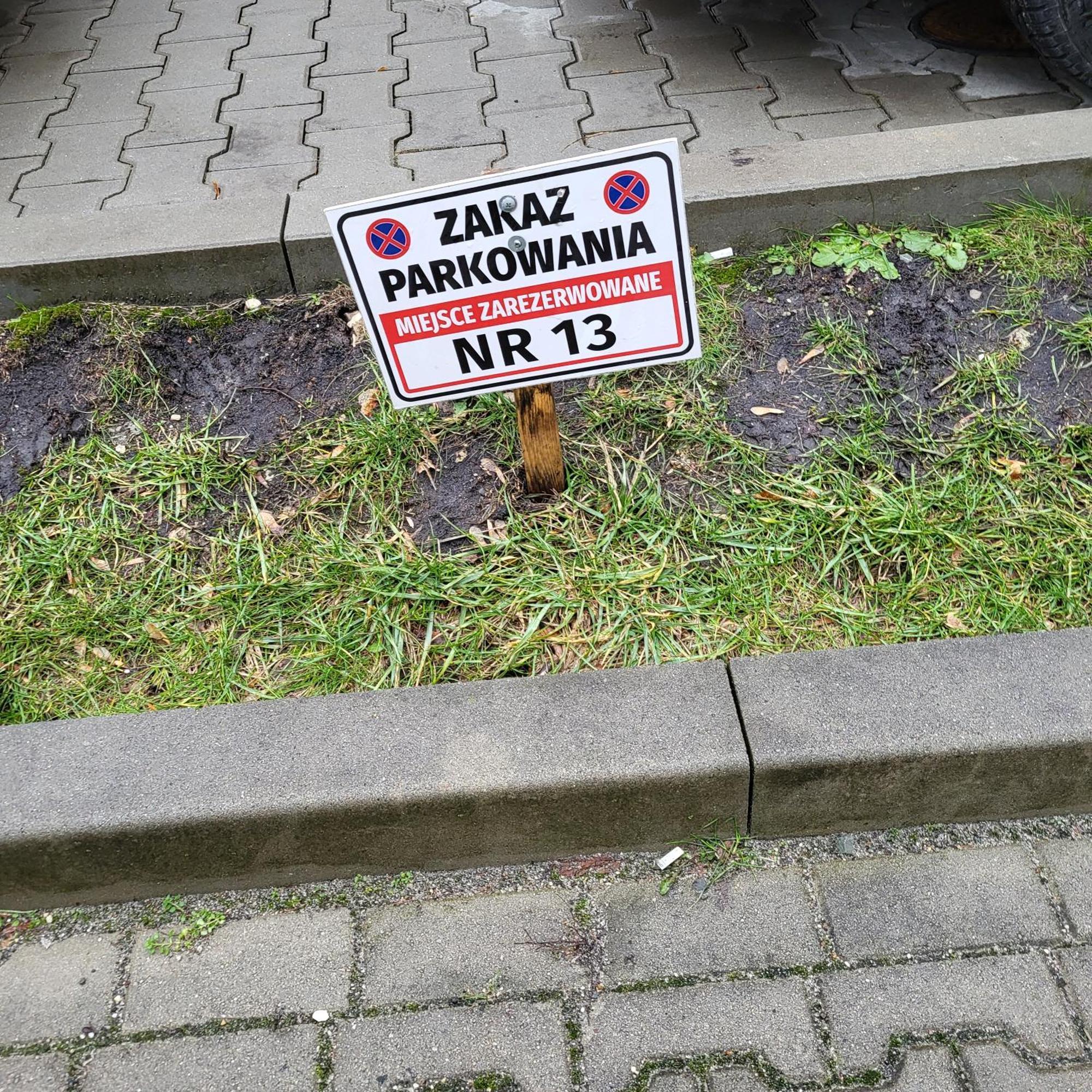 Ap4You Tauron Cracow — Photos 1